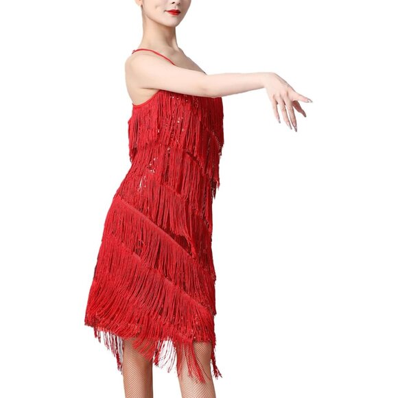 Women Salsa Latin Dance Dress Sequin Tassel Fringe Flapper Dress 1920s Gatsby Co - Picture 3 of 6